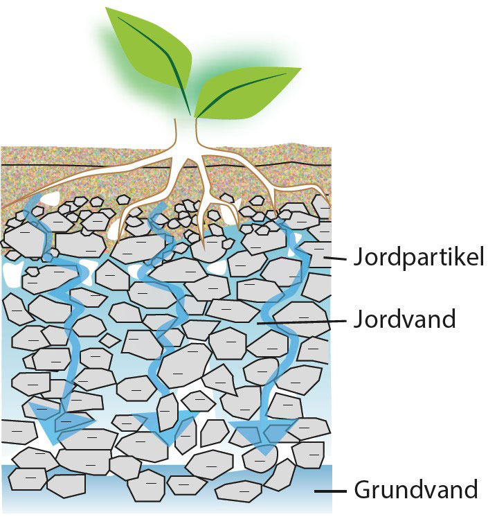 Jordpartikel, Jordvand, Grundvand.