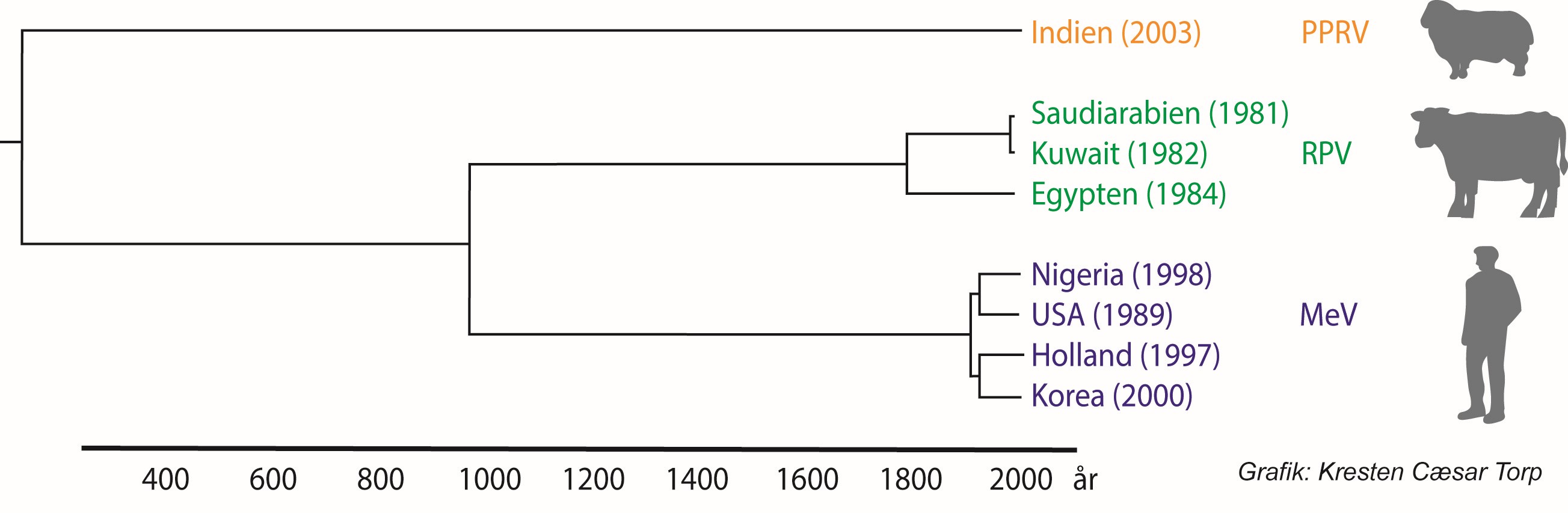 
                                        Indien (2003) PPRV, 
                                        Saudiarabien (1981),
                                        Kuwait (1982) RPV,
                                        Egypten (1984),
                                        Nigeria (1998),
                                        USA (1989) MeV,
                                        Holland (1997),
                                        Korea (2000)